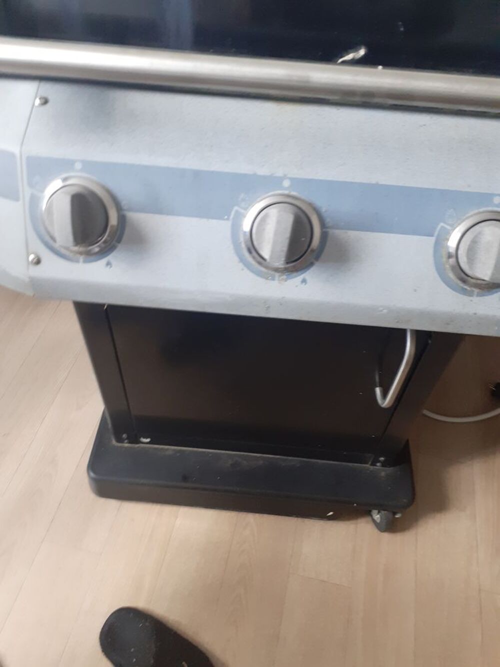 Barbecue a gaz Jardin
