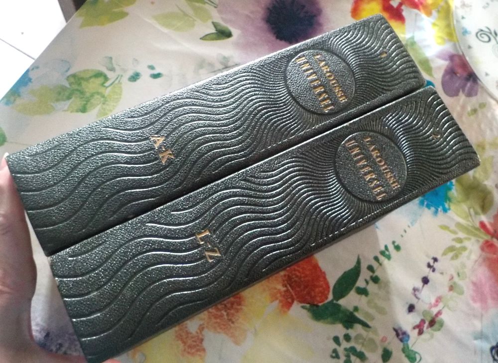 LAROUSSE UNIVERSEL Tomes 1 &amp; 2 Livres et BD