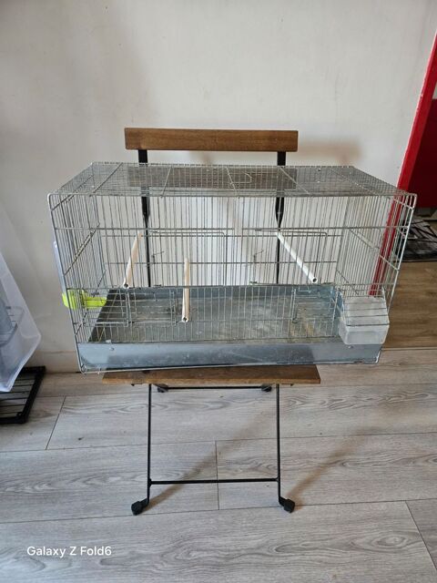 Cage oiseaux de vie , transport, transition , adaptation 15 91790 Boissy-sous-saint-yon