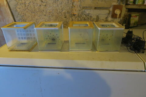 petits aquariums de 2 litres chacun sans pompe &agrave; air , 8 26400 Mirabel-et-blacons