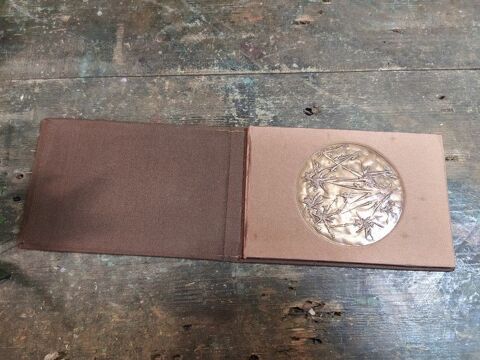 Ancienne Mdaille Bronze Salon International Chimie 1971 50 Loches (37)