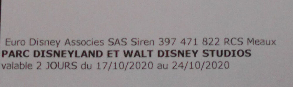 1 entr&eacute;e adulte pour les 2 parcs Disney pour 2 jours Billetterie