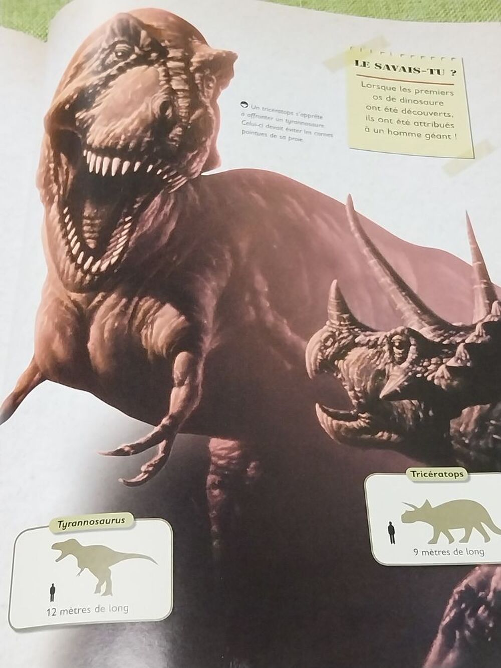Dinosaures le livre de tous les secrets Rupert Matthews Livres et BD