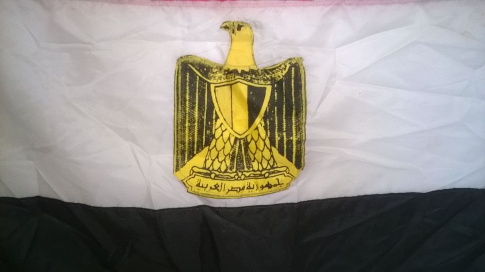 Drapeau avec tete d aigle 