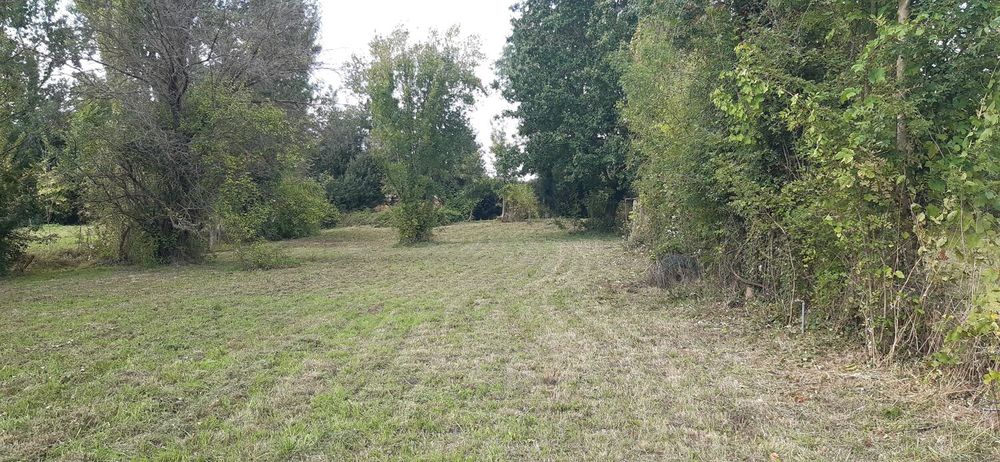 Vente Terrain AV terrain et donne parcelle attenante ST-Christophe 17220 Saint-christophe