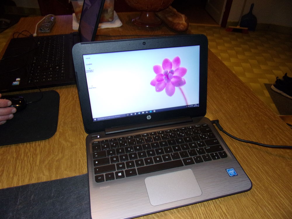 Ordinateur HP 10 pouces Matériel informatique