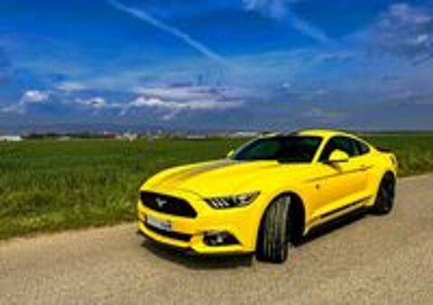 Mustang Fastback 2.3 EcoBoost 317 2016 occasion 26800 Portes-l&egrave;s-Valence