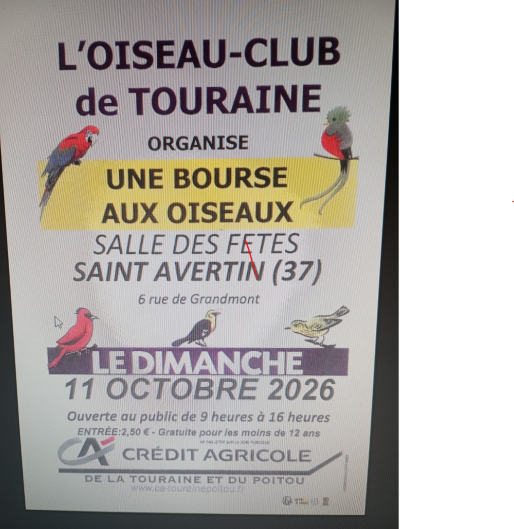   Exposition d'oiseaux 