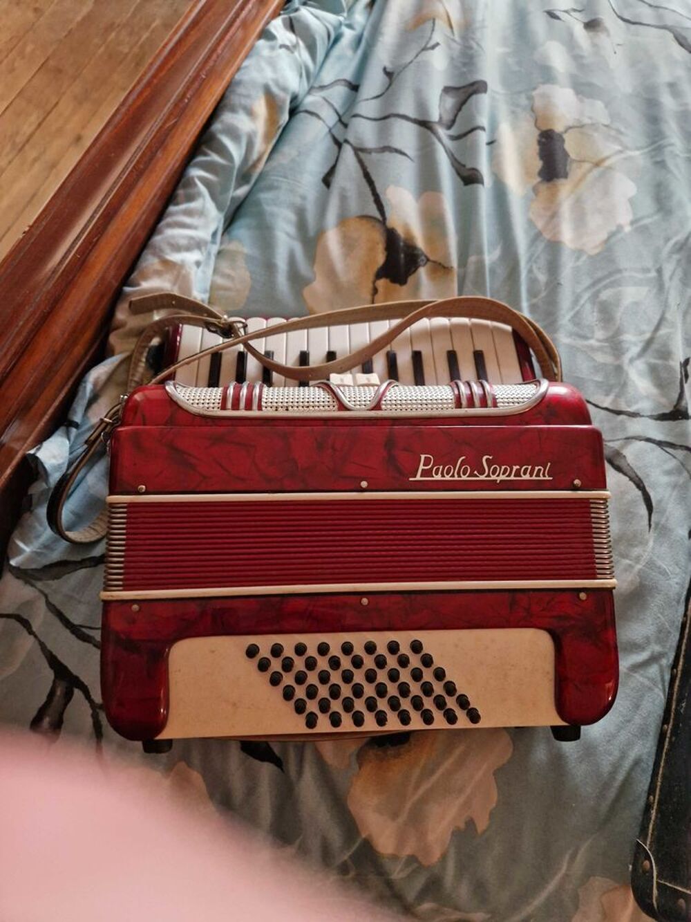 Accord&eacute;ons Instruments de musique