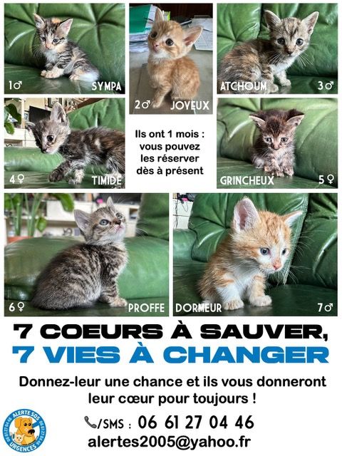 BESOIN DE VOTRE AIDE RECHERCHE PARRAINS MARRAINES FAMILLES D'ACCUEIL 0 75018 Paris