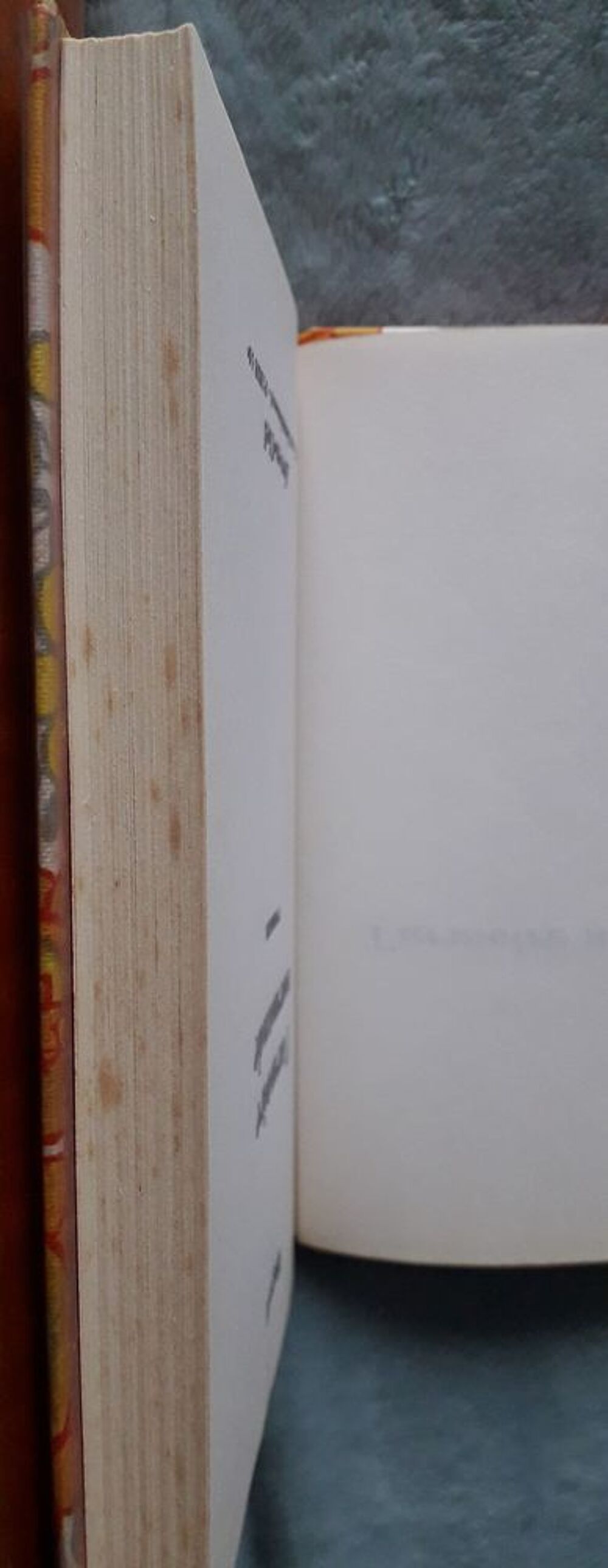 Livre : L'armoire normande de Magali Livres et BD