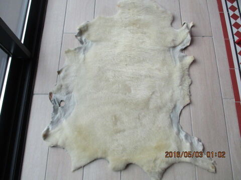 peau de mouton 50 Castres (81)