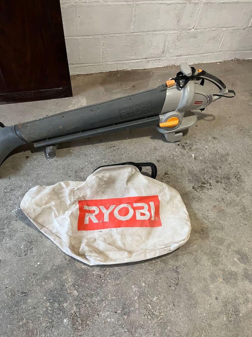Souffleur Ryobi Jardin