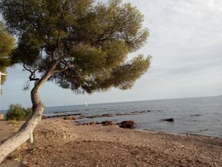 Location  Appartement 
