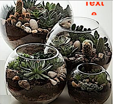 BOCAL  DECO - BOCAL BOULE 83400 Hy�res