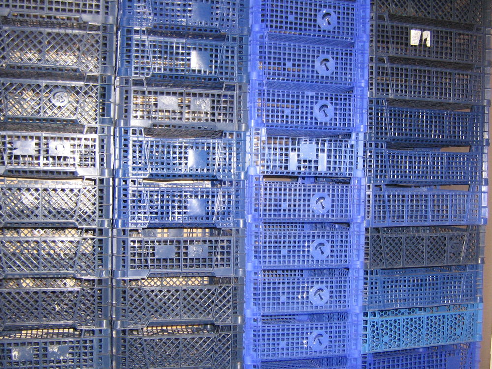 Donne cageot
Bricolage
