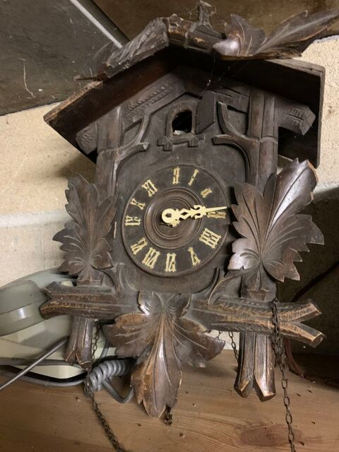 Coucou  30 Les Mesneux (51)