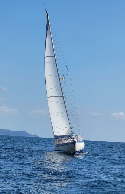 Voiliers Monocoque 1977 occasion Port Leucate 11370