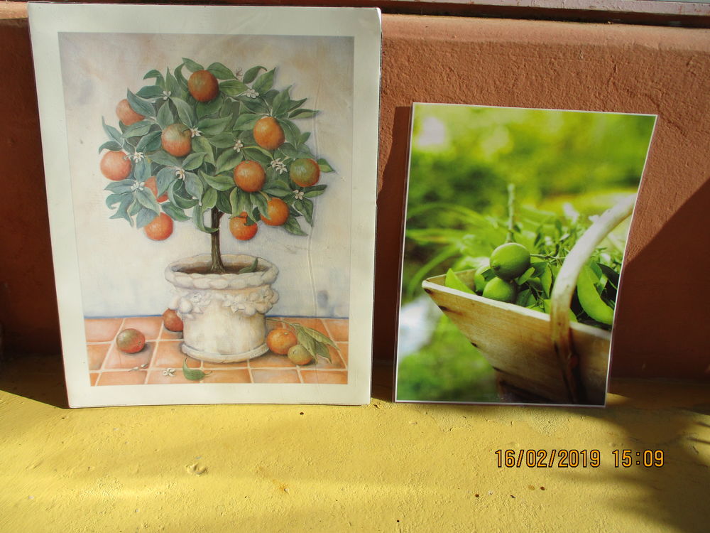 Lot 3 cadres citrons+oranger+canards Décoration