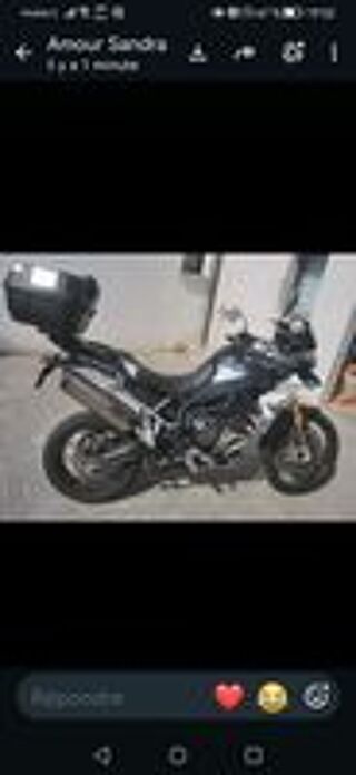 TRIUMPH 2021 occasion 11100 Narbonne