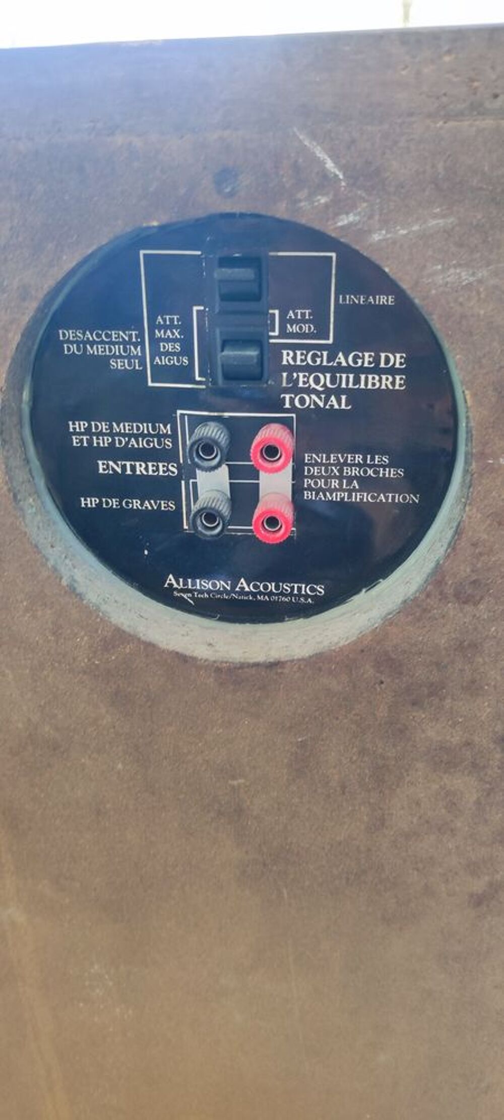 Enceintes haut de gamme Allison one vintage Audio et hifi