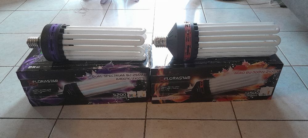 de 2 lampes CFL pour culture int&eacute;rieur Jardin