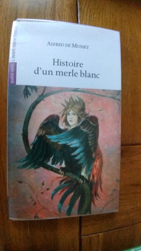 Histoire d'un merle blanc (Alfred de Musset) 3 Wancourt (62)