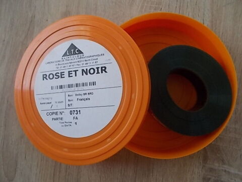 FA 35 mm : ROSE ET NOIR - 731 5 Salignac (33)