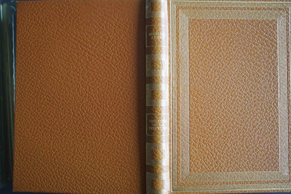 Histoire de la peinture de Giotto &agrave; C&eacute;zanne, Livres et BD