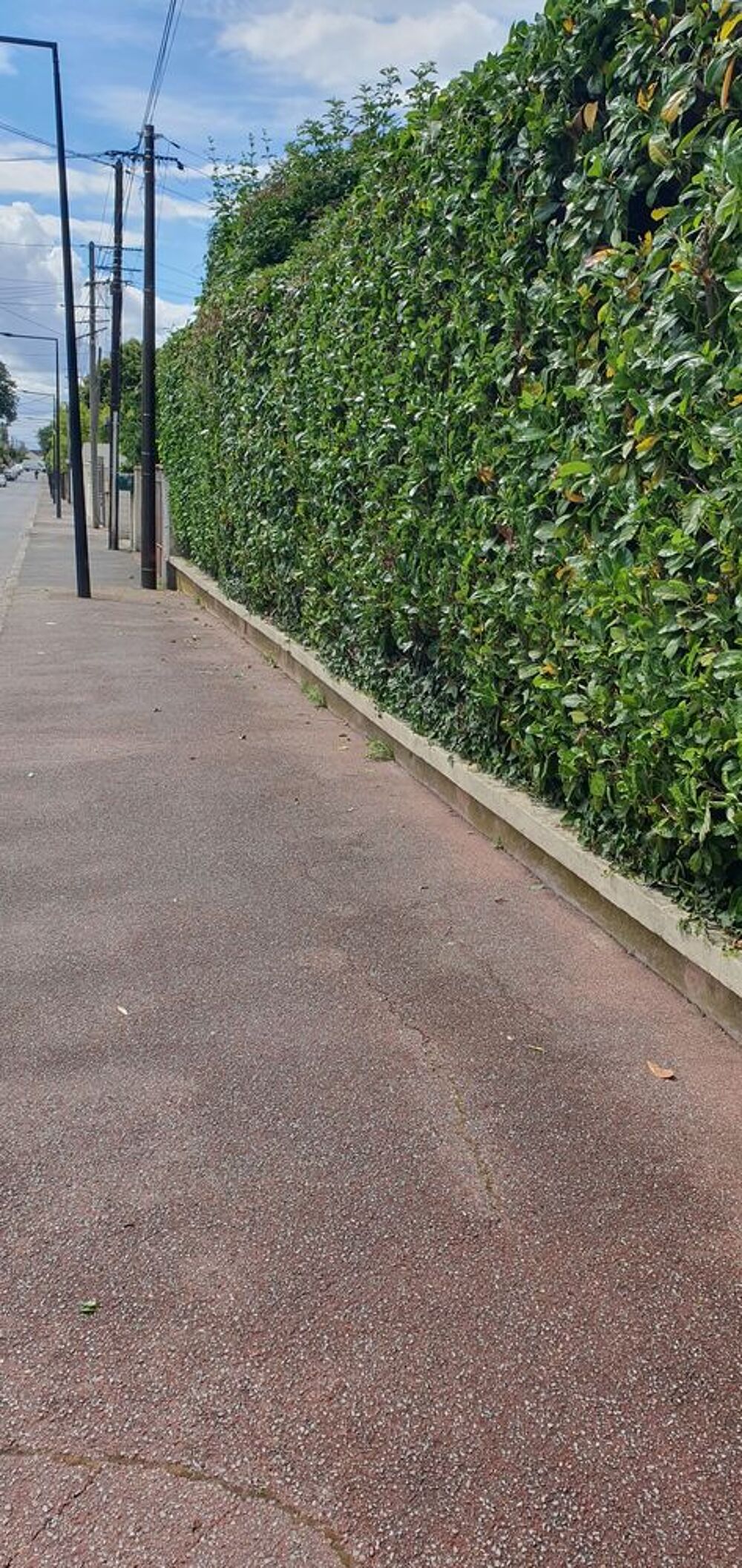   Elagage,abattage,tailles de haies,traitement de surfaces  