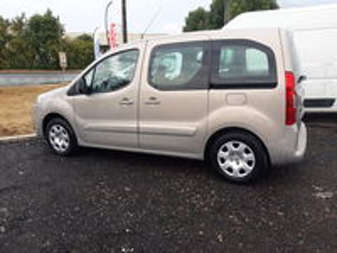 Partner Tepee 1.6 HDi 90ch Style 2009 occasion 45300 Ascoux