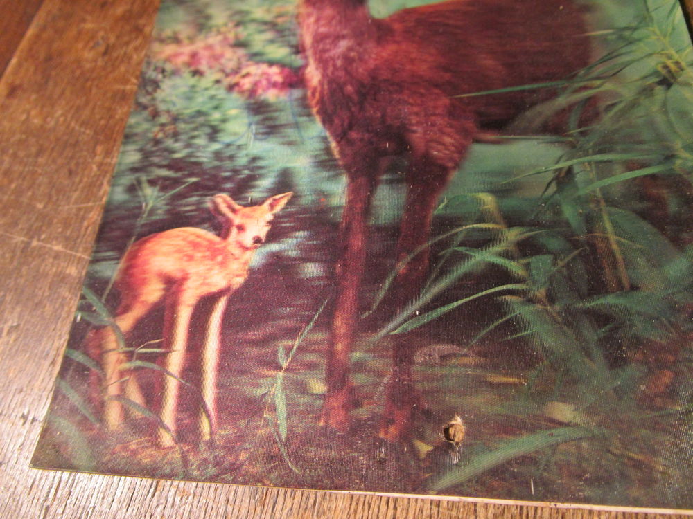 VIEILLE CARTE POSTALE EN RELIEF 3D"FAON+CERF" 