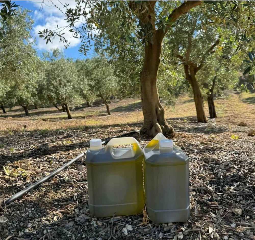Huile d'olive du Portugal Jardin