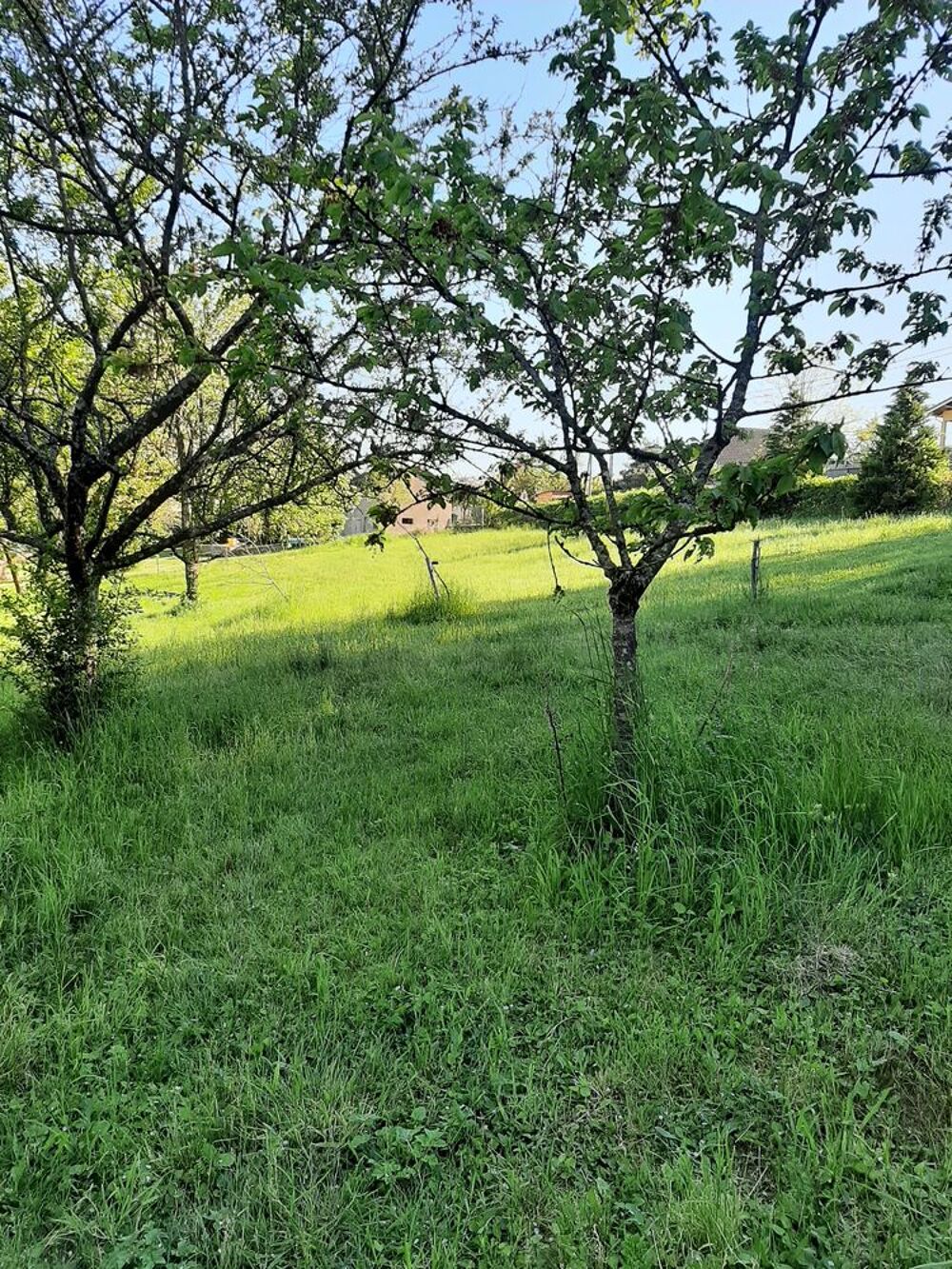 Vente Terrain terrain constructible quartier residentiel 1900 m2 Le breuil