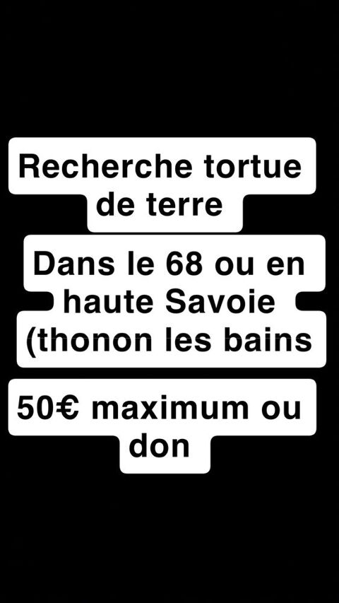 recherche tortue 50� dans le 68 ou haute Savoie (thonon les bains, evian les bains Mulhouse (68)