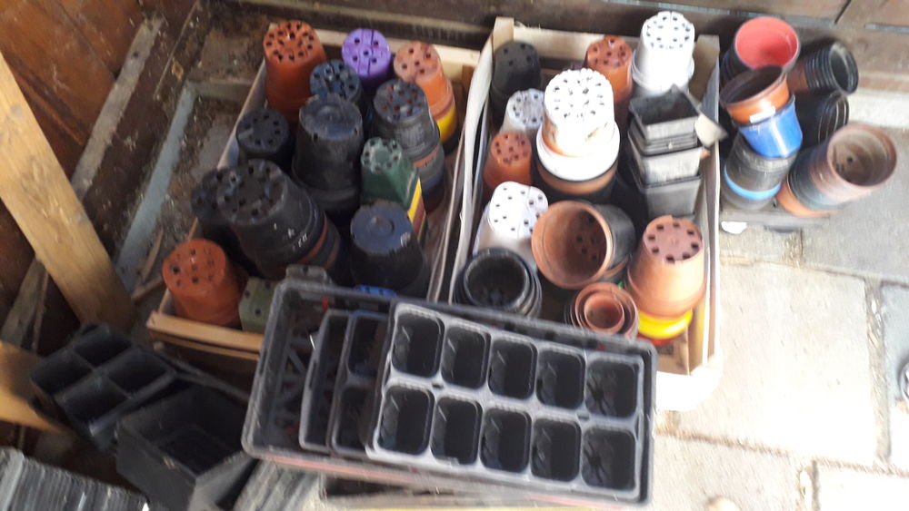 don pour jardinier amateur Jardin