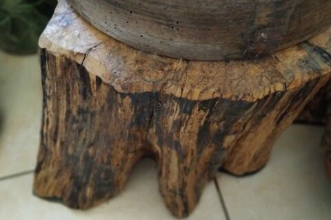 souche+en+bois 30 Belley (01)