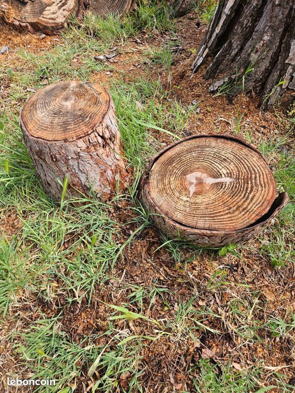 Bois de pin Bricolage