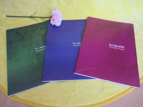 Lot de 3 cahiers de 96 pages - NEUFS 3 Livry-Gargan (93)