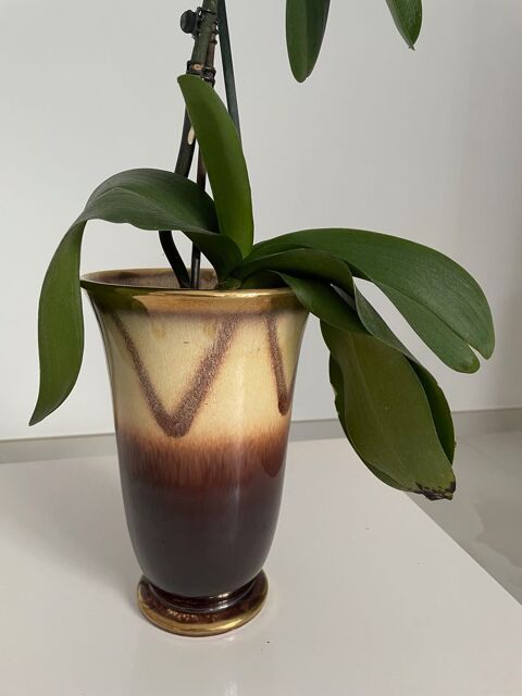Superbe VASE en CÉRAMIQUE des BORDS du RHIN 19 Toulouse (31)