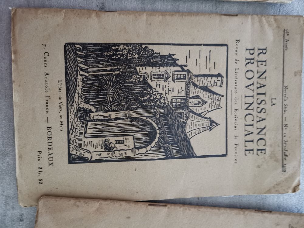 La renaissance provincial de 1929 &agrave; 1939 Livres et BD