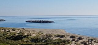 Location  Appartement 