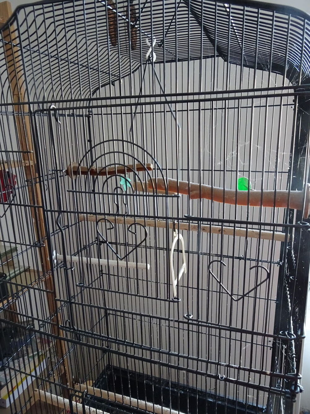   Cage à oiseaux 
