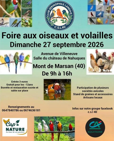 Foire aux oiseaux et volailles 1 40000 Mont-de-marsan