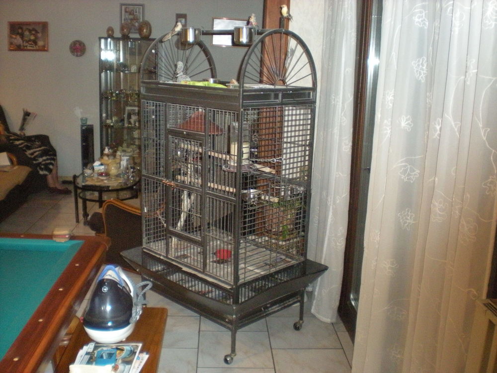 cage oiseau "CAESAR" pour PERROQUETprix neuf: 225 euros Meubles