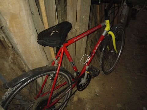 Velo course 50 Chenoise (77)