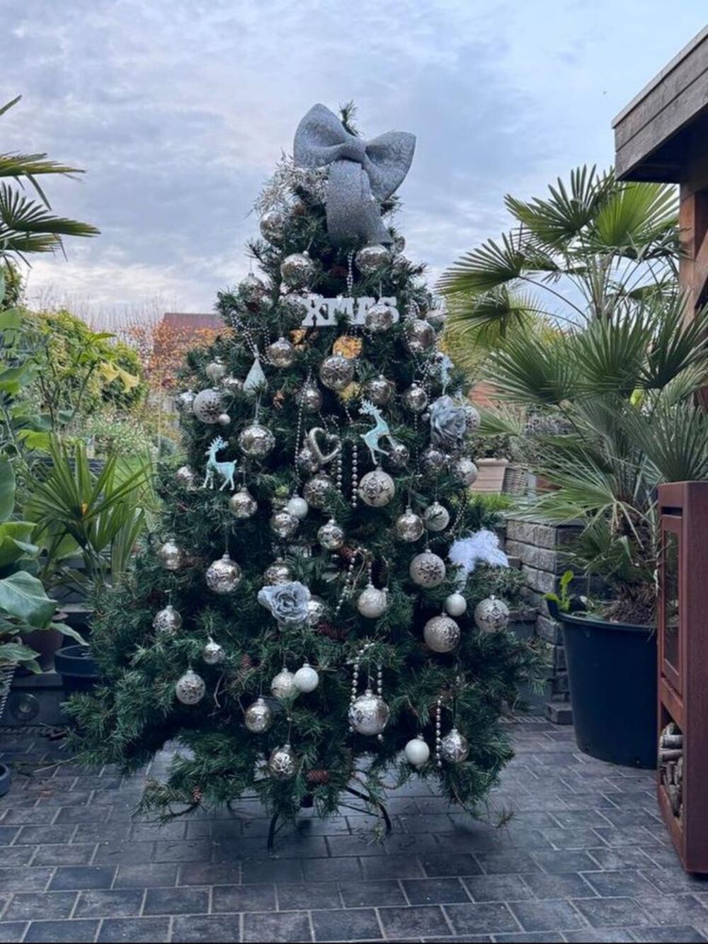 Sapins de no&euml;l Nordmann , Epic&eacute;as D�coration