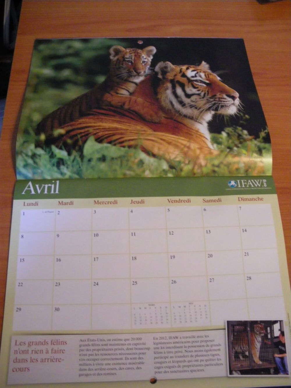 Calendrier 2012-2013
LE MONDE DES ANIMAUX Livres et BD