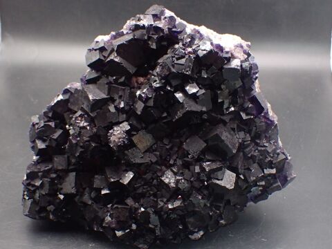 Fluorite XXL , Mine Esperanza , Musquiz , Coahuila , Mexique 405 Bertrichamps (54)