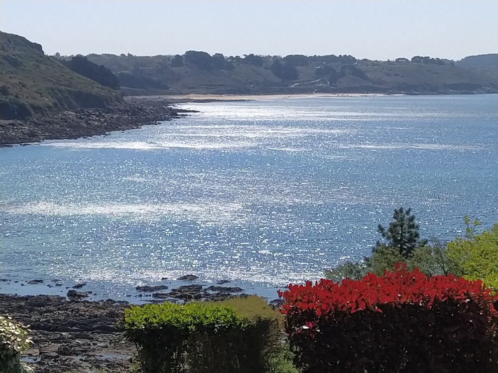    Vue mer panoramique.5 mn  pied de la plage. Bretagne, Trbeurden (22560)